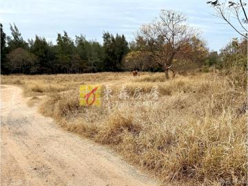 金門大學旁農地 金門房屋土地
