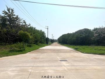 小資入門農地未來潛力看好 金門房屋土地