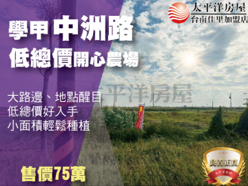 學甲中洲路低總價開心農場 佳里買房買地