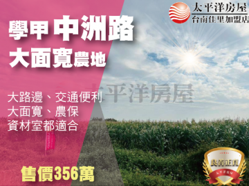 學甲中洲路大面寬農地 佳里買房買地