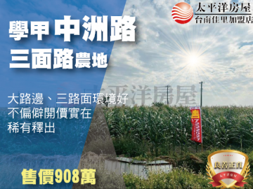 學甲中洲路三面路農地 佳里買房買地