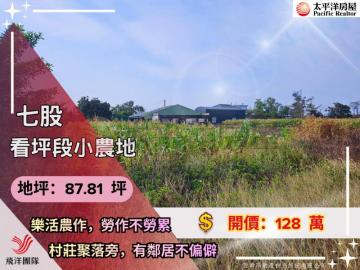 七股看坪小農田 佳里買房買地