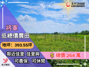 將軍低總價農田｜台南佳里農地
