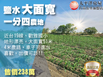 鹽水51米面寬農地｜台南佳里農地