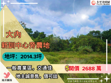 大內新訓中心旁農地｜台南佳里農地