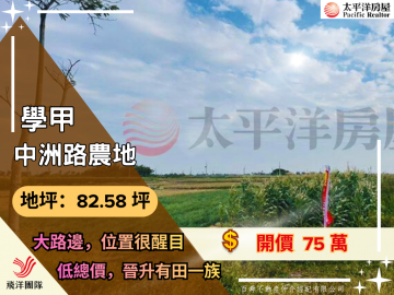 學甲中洲路低總價開心農場｜台南佳里農地