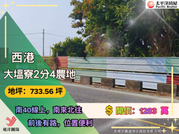西港大塭寮2分4農地｜台南佳里農地