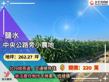 鹽水台19線旁小農地｜台南佳里農地