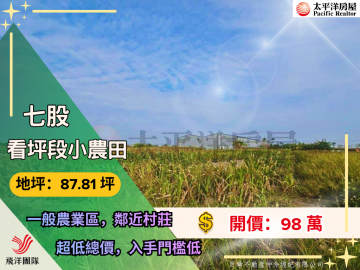 七股看坪小農田｜台南佳里農地