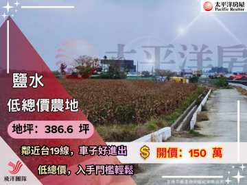 鹽水低總價農地｜台南佳里農地