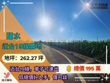 鹽水台19線旁小農地｜台南佳里農地