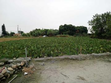 林內烏塗農地(二)