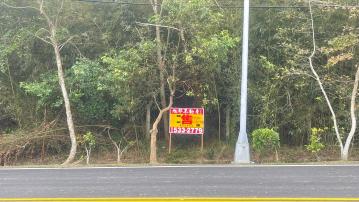 新竹縣寶山水庫美農地