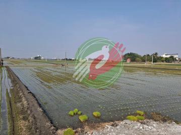 中部廠房土地 竹塘｜近自強大橋｜雙面臨路美田 