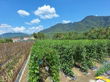高雄杉林農地 屏東不動產