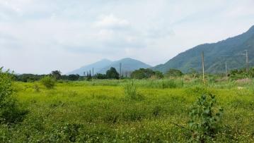 高樹臨路農地 屏東不動產