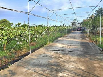 鹽埔洛陽農地+農舍 屏東不動產