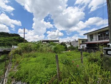 彰化房地男神 東勢石角小學旁建地
