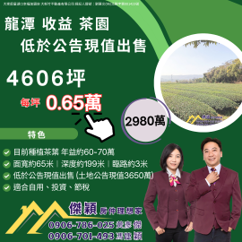 龍潭收益茶園臨路美田 湖口土地買賣傑穎房仲
