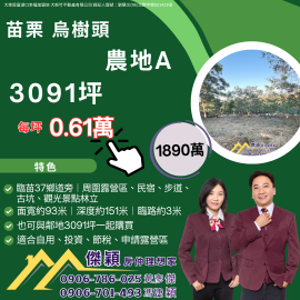 苗栗鳥樹頭 3091坪農地A 湖口土地買賣傑穎房仲