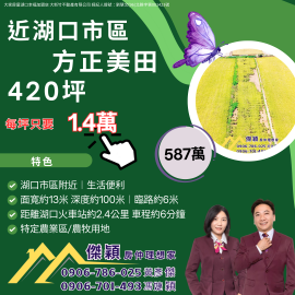 湖口市區旁420坪方正美田  湖口土地買賣傑穎房仲