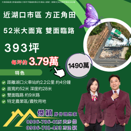 湖口_臨新湖路393坪方正角田 湖口土地買賣傑穎房仲