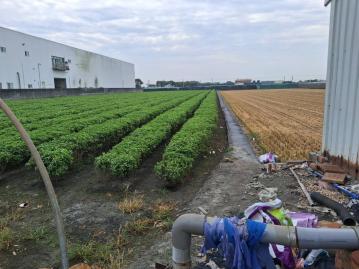 市場南路農地 西螺房地買賣