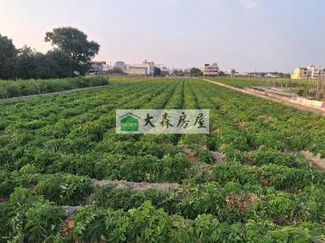 西螺房地買賣 *斗南都計農地*