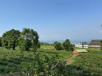 南投草屯土地 南投名間養德禪寺2.2甲農地