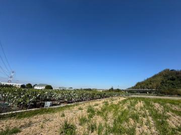 南投草屯土地 台中霧峰烏溪北岸5.86分農地