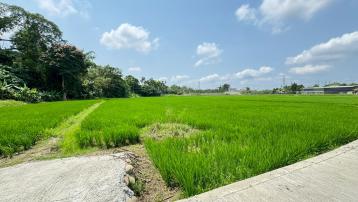 南投草屯土地 草屯國六平坦農地(近鳥嘴潭)