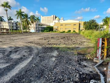 東方設計大學旁都內農地