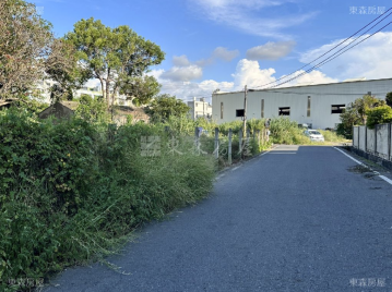 彰化房地天王 鹿鳳段小田-2