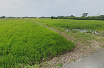 香山海線地王‧每坪2字頭搶手釋出 道路用地買賣