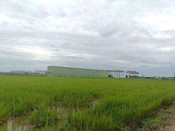 北高雄買屋賣屋 ⭕路科都市計畫西側 區段徵收 優質農地 ⭕