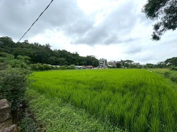 大溪區低單價稀有開心農場方正農地~ 桃園大樓專家