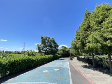桃園中路五段低總價開心農場方正農地 桃園電梯大樓專家