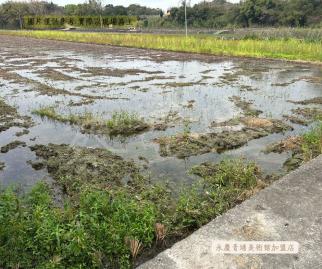 苗栗高鐵特定區 | 卡位都市計畫內農地(A)