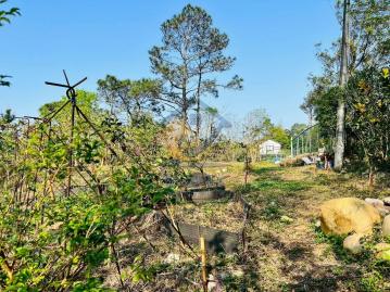 青埔買房買屋 關西近高原交流道休閒農地