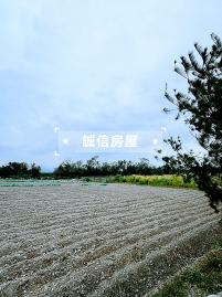 鹿野高台路邊農地