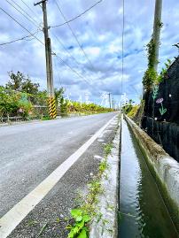 近市區農地