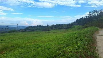 中寮鎮國寺景觀農地8.6分
