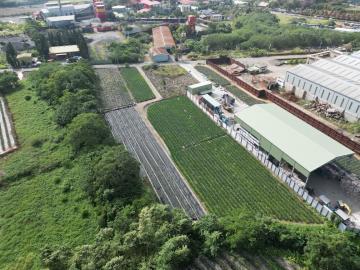 名間10米路旁農地7分3