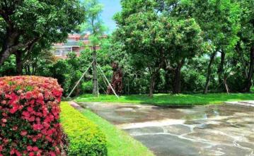 新營中古屋 新營土庫426坪超優建地