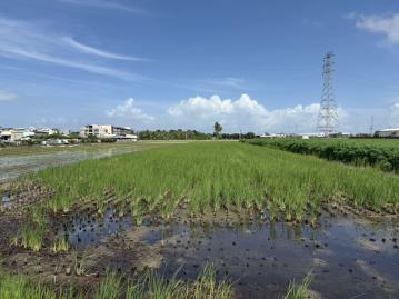 高雄市橋頭區頂塩田段優質投資農地 岡山推薦房仲