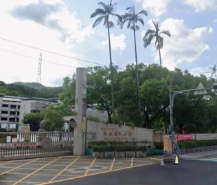 樹林區台北豪景 新莊房仲羿哥