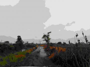 高雄工業廠房 新營姑爺特定農業漂亮農地