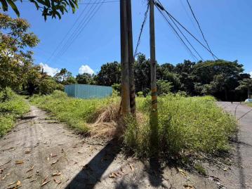 高雄工業廠房 楠西區楠西段平坦休閒農地