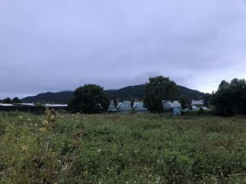 東勢新社土地 新社區花海農地