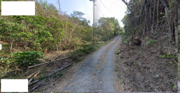 杉林5.5甲山坡休閒農地